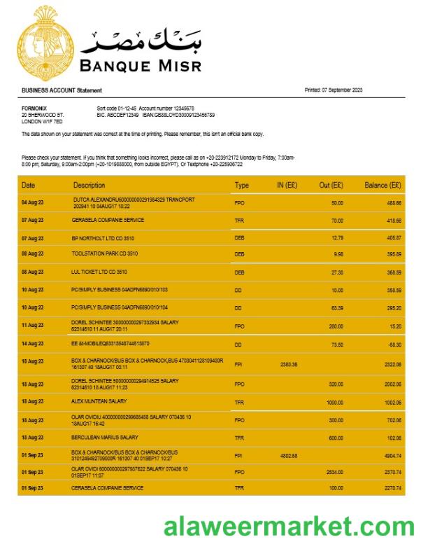 Banque Misr organization checking account statement Word and PDF template